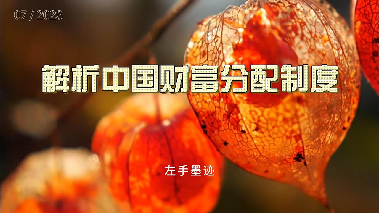 解析中国财富分配制度 cover