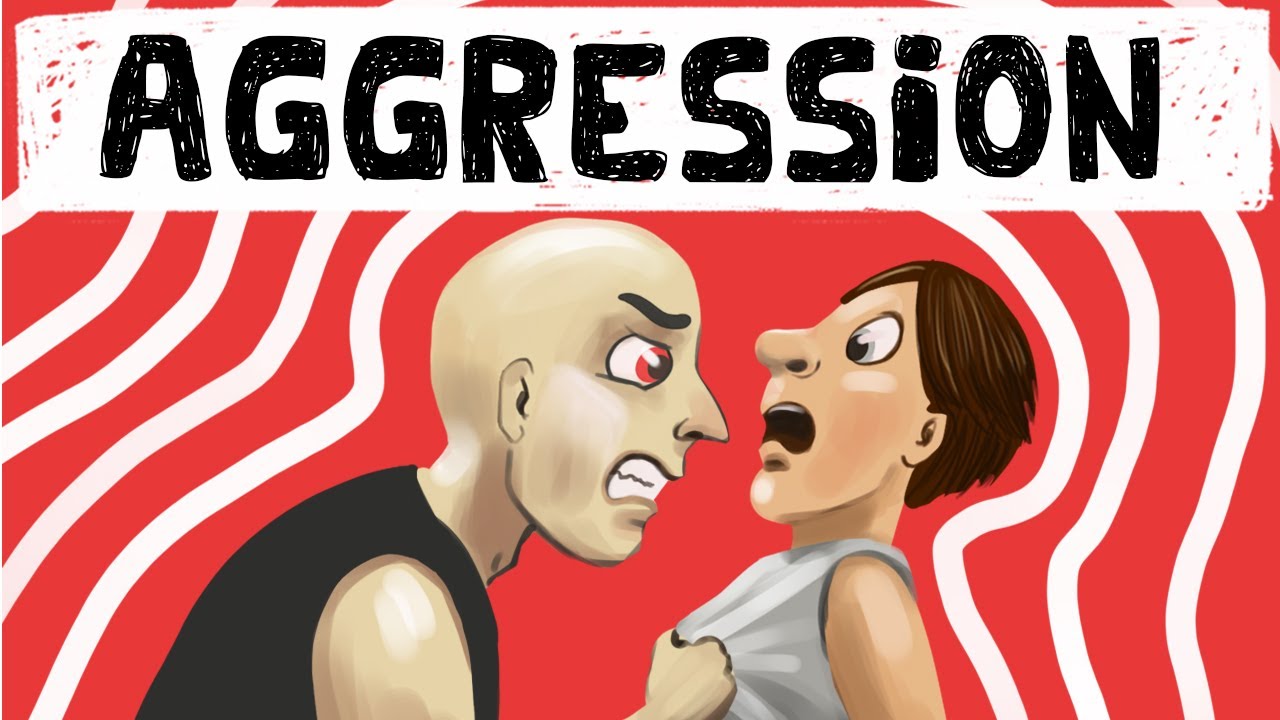 Theories of Aggression in Social Psychology