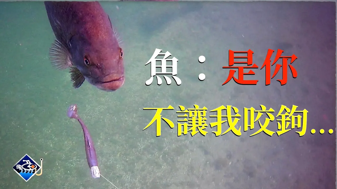 🐟💪【路亞的致命陷阱】這個被忽視的關鍵錯誤，讓你我錯過了多少魚？水下鏡頭眼見為實！不再對路亞中魚失去信心