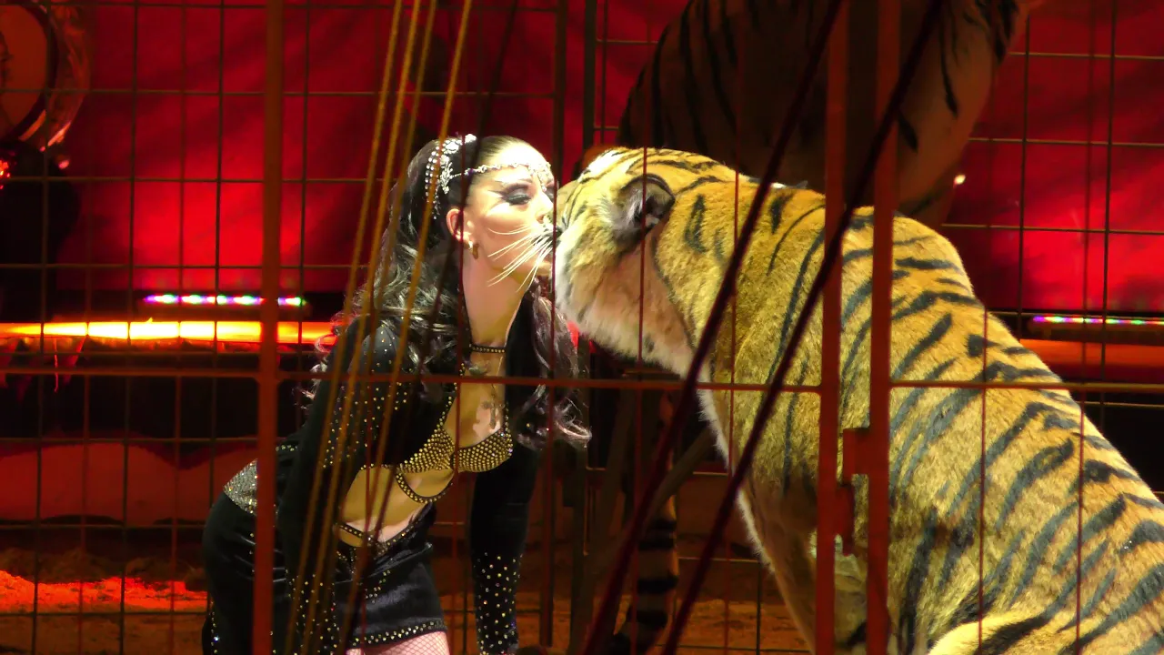 Carmen Zander - The Queen of Tigers - 42nd International Circus Festival of Monte-Carlo 2018 cover