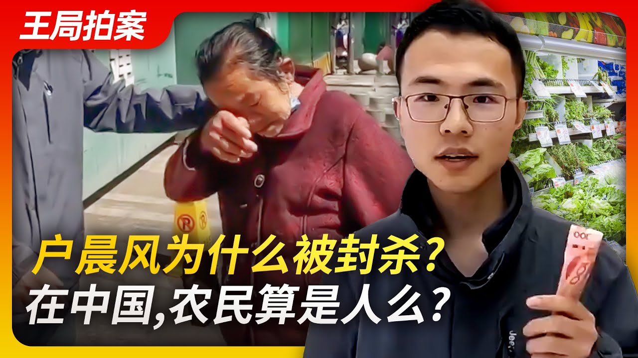 户晨风为什么被封杀？在中国，农民算是人么？｜户晨风｜新农保｜绝对贫困｜107块｜伟大复兴｜城乡二元结构｜制度性歧视｜封杀｜炸号｜王局拍案20230320