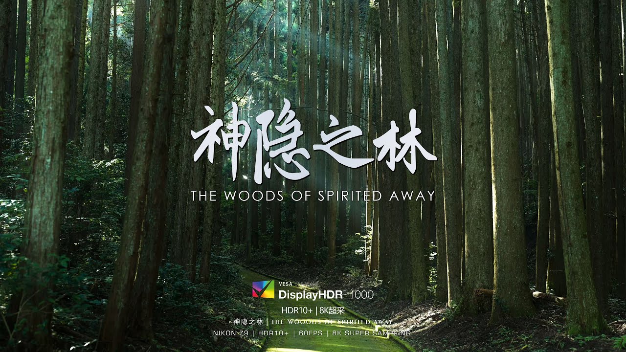 【4K HDR】极致沉浸体验：迷失神隐之林 | ultimate immersion experience: The woods of spririted away | 8K SSAA cover