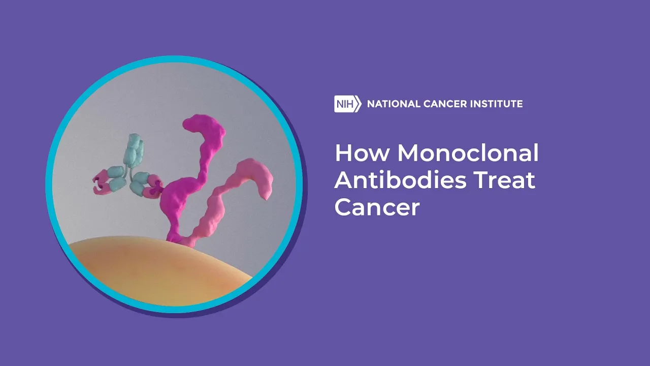 How Monoclonal Antibodies Treat Cancer