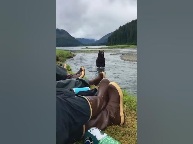 Just a normal day for residents of the last frontier 🐻🎥: (kenziesgoneagain/IG)