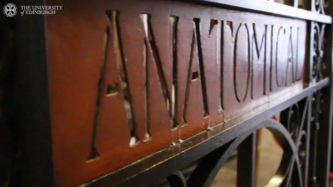 An introduction to the University's Anatomical Museum