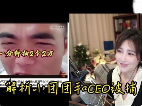 陈一发儿解析千万网红小团团和CEO被捕事件 cover