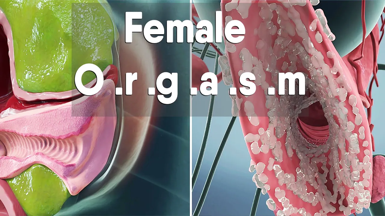 female orgasm | Female anatomy and biology cover