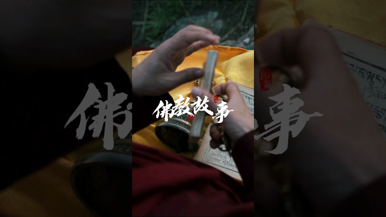 佛教故事 ｜ 放下过去，才能重新开始 ｜人生哲理 #佛学 #人生感悟 #佛教 #哲学 cover