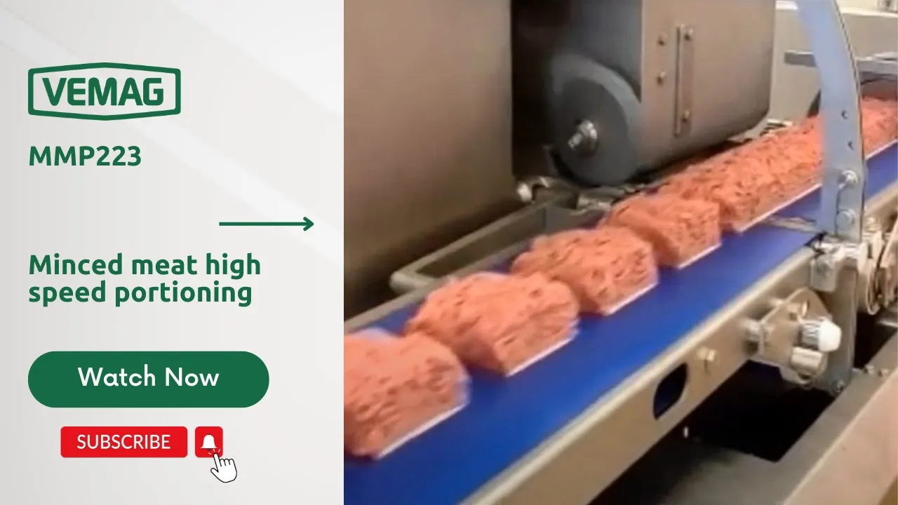 MMP223 _  Minced meat high speed portioning