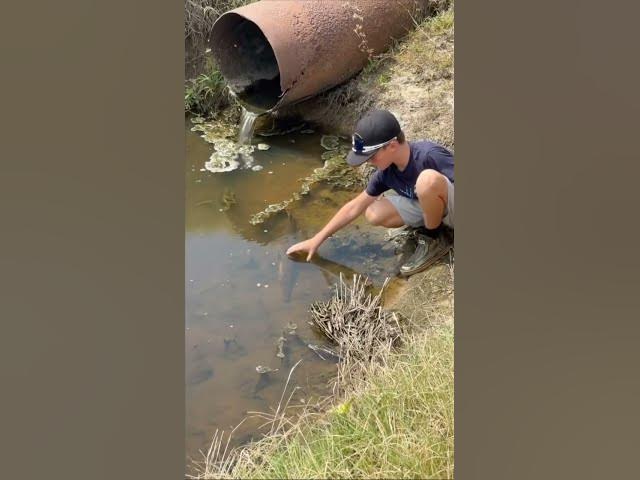 Country boys doing a little hand fishing on a summer day!