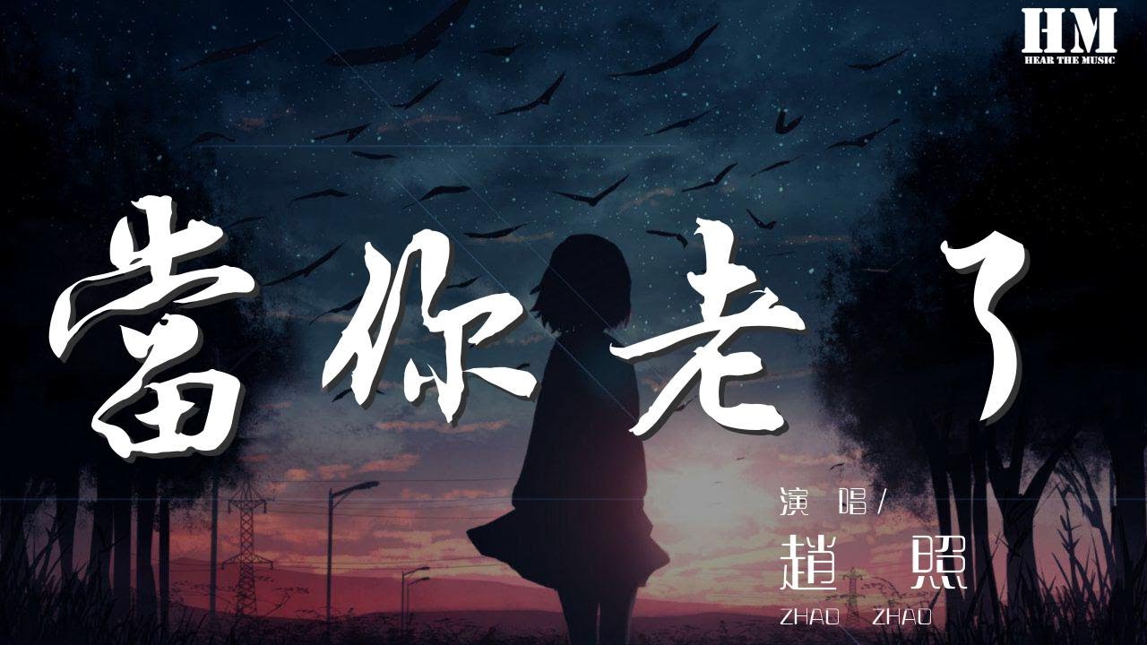 趙照 - 當你老了『當你老了 頭髮白了』【動態歌詞Lyrics】