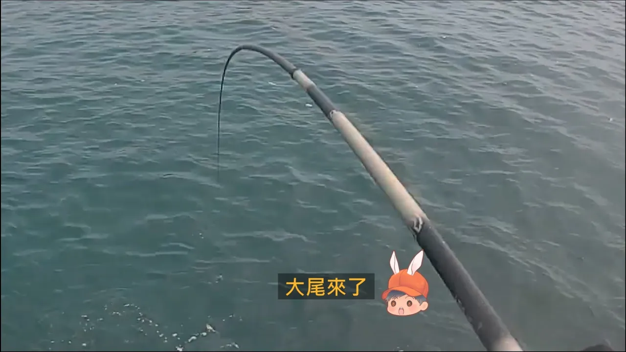 宜蘭大里 釣況分享 Wild fishing in Taiwan. [嘟嘟釣魚狂#269] 2024/08/08