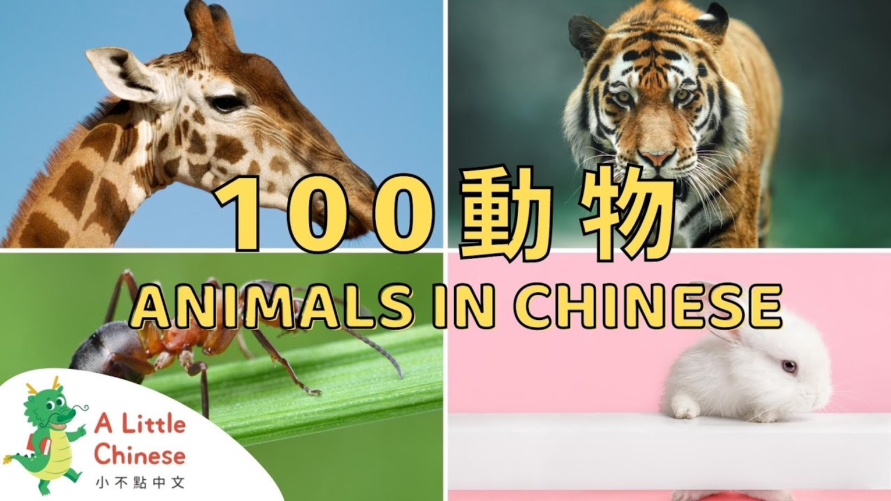 100 Animals in Chinese | 一百種動物的中文名稱 | Educational Video For Kids to Learn Chinese