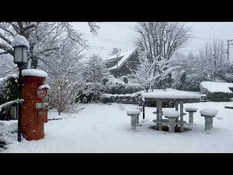 治愈系风景，“听，听雪落下的声音。”#风景#雪#日本庭院