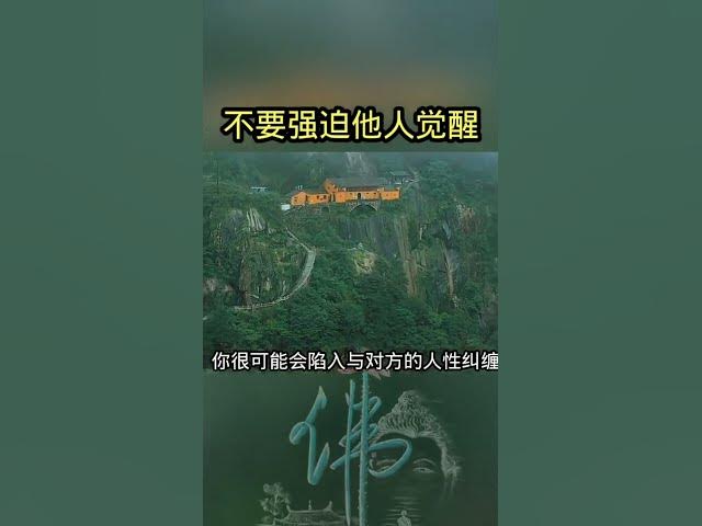 不要强迫他人觉醒#修行#修行感悟 #修心修行 cover