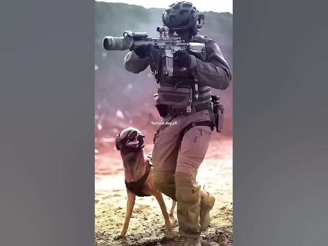 #Dog.K9 cover