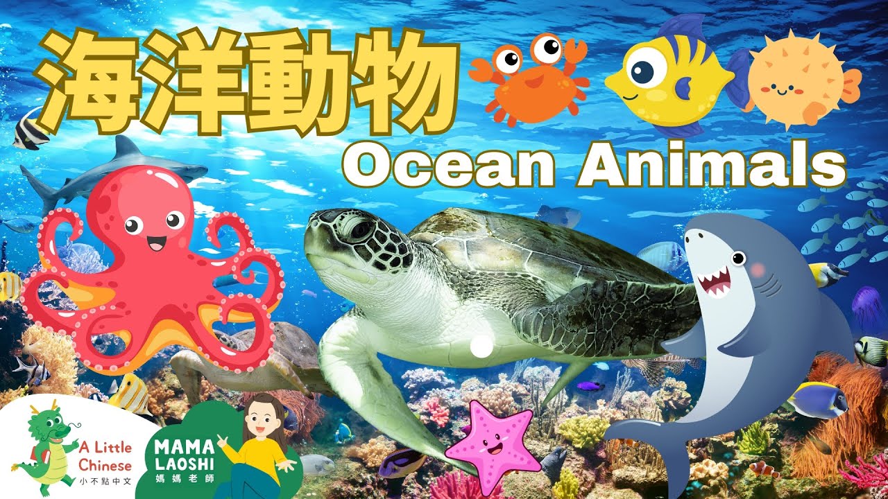 Ocean Animals in Chinese 海洋動物 | Animal Vocabulary | Learn Chinese for Kids, Toddlers & Preschoolers cover