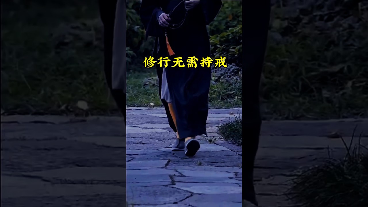 修行无需持戒.#人生忠告 #修心修行 #佛学智慧 #禅悟人生 #开悟 cover