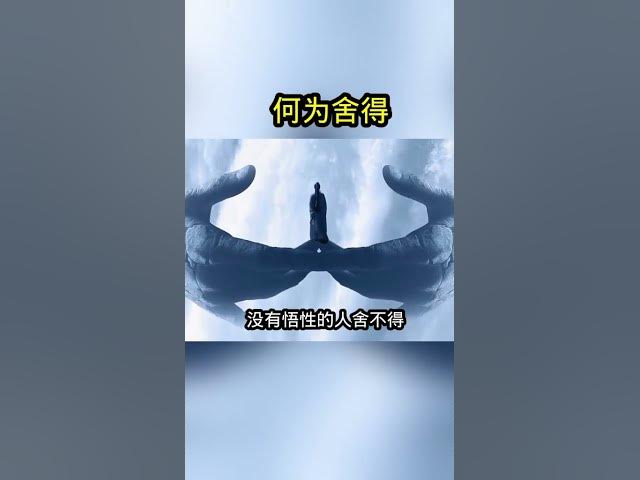 何为舍得#修行 #人生是一场修行 #修心修行 cover