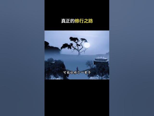 真正的修行之路 cover